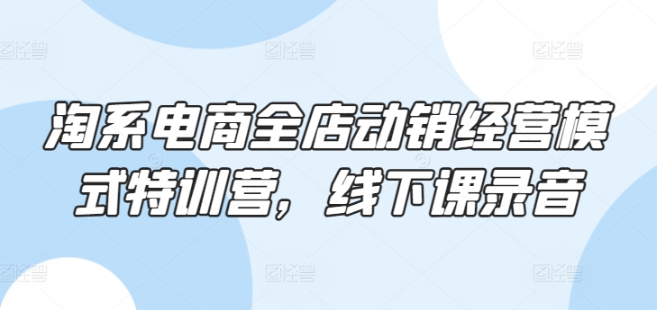 淘系电商全店动销经营模式特训营，线下课录音-比钱轻创