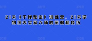 21天《子弹秘密》训练营,21天学到顶尖文案大师的策略和技巧-比钱轻创