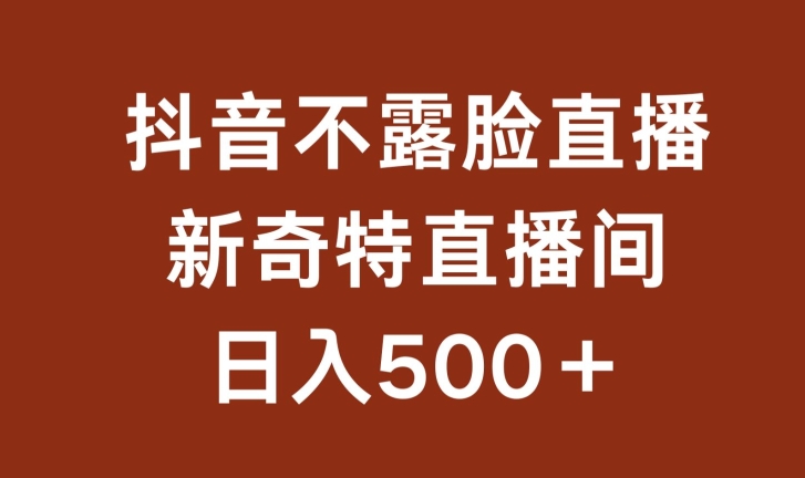 不露脸挂机直播，新奇特直播间，日入500+【揭秘】-比钱轻创