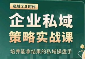私域2.0：企业私域策略实战课，培养能拿结果的私域操盘手-比钱轻创