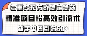 精准项目粉高效引流术,新手单日引流50+,多重变现方式稳定赚钱【揭秘】-比钱轻创