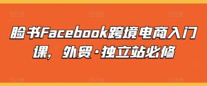 脸书Facebook跨境电商入门课，外贸·独立站必修-比钱轻创