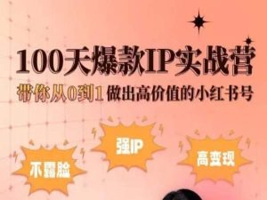 小红书100天爆款IP实战营，带你从0到1做出高价值的小红书号-比钱轻创