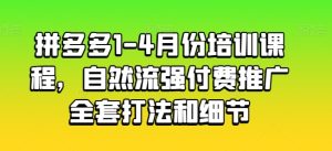 拼多多1-4月份培训课程，自然流强付费推广全套打法和细节-比钱轻创