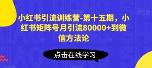小红书引流训练营-第十五期，小红书矩阵号月引流80000+到微信方法论-比钱轻创