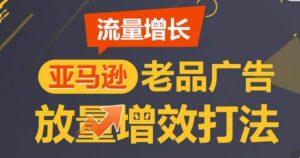 亚马逊流量增长-老品广告放量增效打法，循序渐进，打造更多TOP listing​-比钱轻创