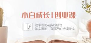 小白成长创业课：追求理论与实践结合，踏实落地，有尊严的持续赚钱-42节-比钱轻创