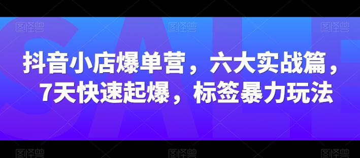 抖音小店爆单营，六大实战篇，7天快速起爆，标签暴力玩法-比钱轻创