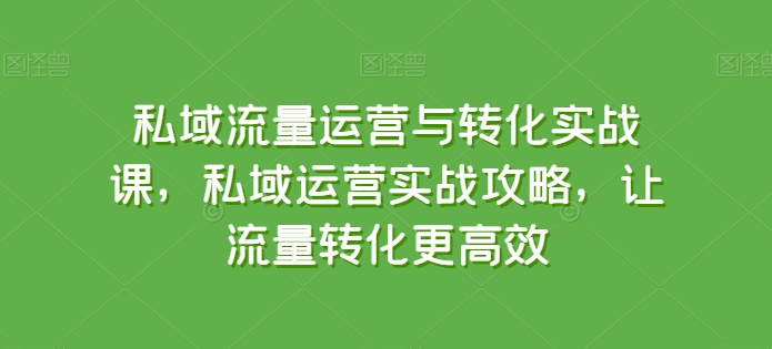 私域流量运营与转化实战课，私域运营实战攻略，让流量转化更高效-比钱轻创