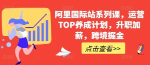 阿里国际站系列课，运营TOP养成计划，升职加薪，跨境掘金-比钱轻创