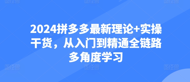 2024拼多多最新理论+实操干货，从入门到精通全链路多角度学习-比钱轻创