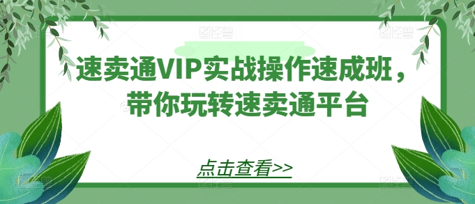 速卖通VIP实战操作速成班，带你玩转速卖通平台-比钱轻创