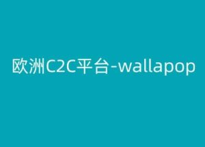 欧洲C2C平台-wallapop-kim跨境电商教程-比钱轻创