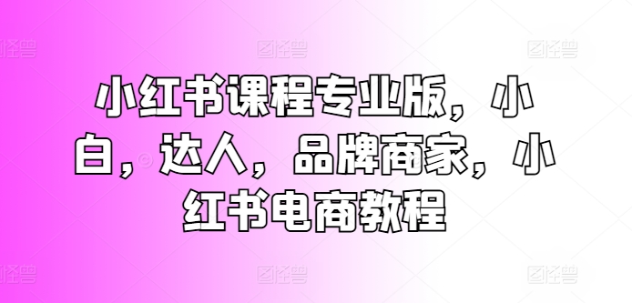 小红书课程专业版，小白，达人，品牌商家，小红书电商教程-比钱轻创