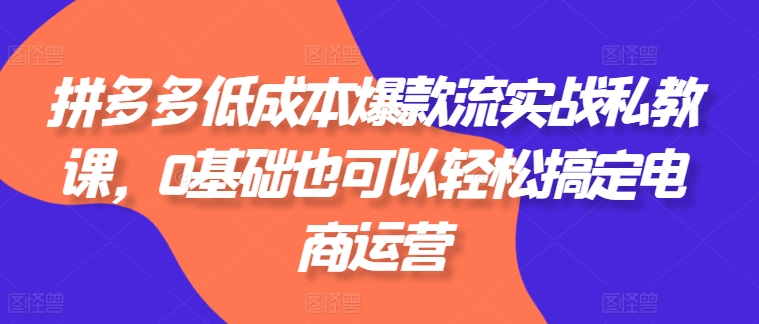 拼多多低成本爆款流实战私教课，0基础也可以轻松搞定电商运营-比钱轻创