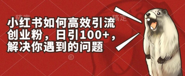 小红书如何高效引流创业粉，日引100+，解决你遇到的问题【揭秘】-比钱轻创