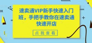 速卖通VIP新手快速入门班,手把手教你在速卖通快速开店-比钱轻创