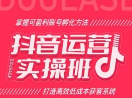 抖音运营实操班，掌握可盈利账号孵化方法，打造高效低成本获客系统-比钱轻创