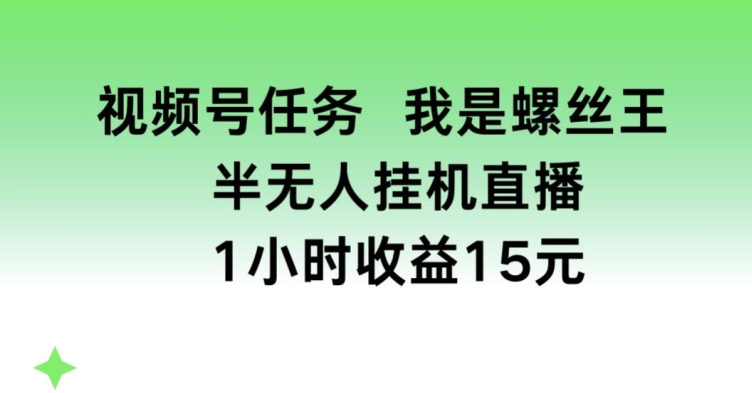 视频号任务，我是螺丝王， 半无人挂机1小时收益15元【揭秘】-比钱轻创