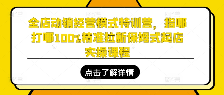 全店动销经营模式特训营，指哪打哪100%精准拉新保姆式起店实操课程-比钱轻创