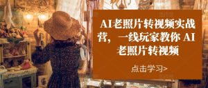 AI老照片转视频实战营，一线玩家教你AI老照片转视频-比钱轻创