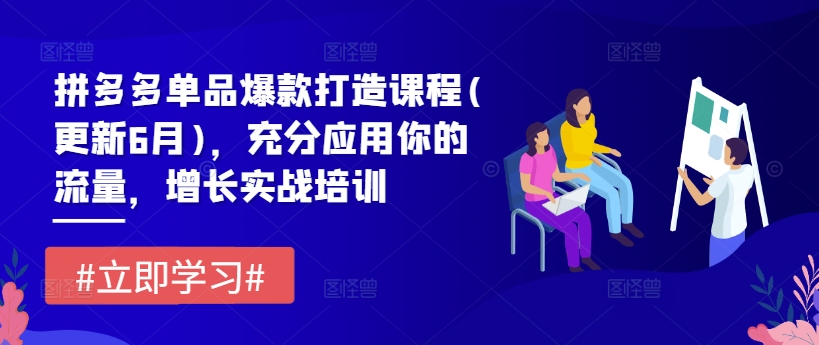 拼多多单品爆款打造课程(更新6月)，充分应用你的流量，增长实战培训-比钱轻创