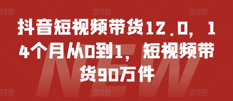抖音短视频带货12.0，14个月从0到1，短视频带货90万件-比钱轻创