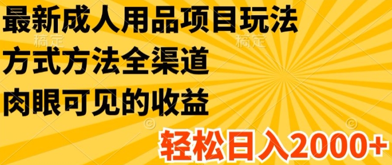 最新成人用品项目玩法，方式方法全渠道，轻松日入2K+【揭秘】-比钱轻创