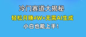 冷门赛道大揭秘，轻松月赚1W+无需AI生成，小白也能上手【揭秘】-比钱轻创