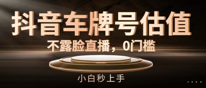 抖音车牌号估值，不露脸直播，0门槛，小白秒上手【揭秘】-比钱轻创