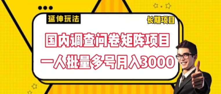 国内调查问卷矩阵项目，一人批量多号月入3000【揭秘】-比钱轻创