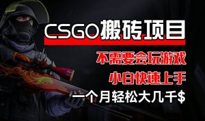 CSGO 装备搬砖项目，操作简单，不需要会玩游戏，小白也能快速上手，一个月轻松大几千【揭秘】-比钱轻创