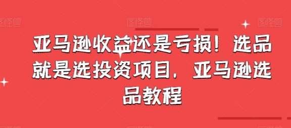 亚马逊收益还是亏损！选品就是选投资项目，亚马逊选品教程-比钱轻创