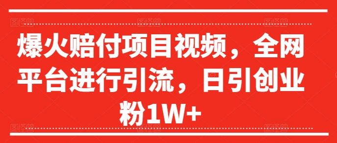 爆火赔付项目视频，全网平台进行引流，日引创业粉1W+【揭秘】-比钱轻创