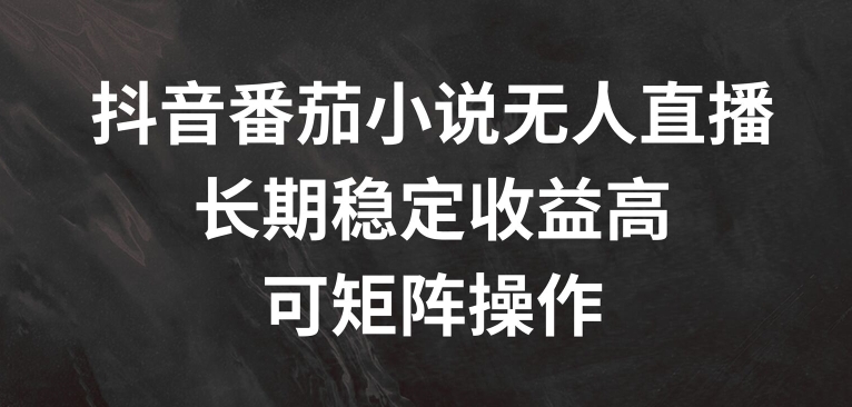 抖音番茄小说无人直播，长期稳定收益高，可矩阵操作【揭秘】-比钱轻创