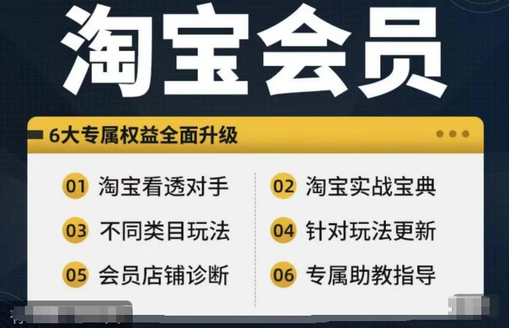 淘宝会员【淘宝所有课程，全面分析对手】，初级到高手全系实战宝典-比钱轻创