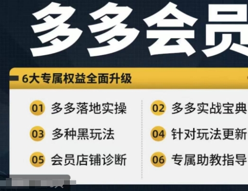 拼多多会员，拼多多实战宝典+实战落地实操，从新手到高阶内容全面覆盖-比钱轻创