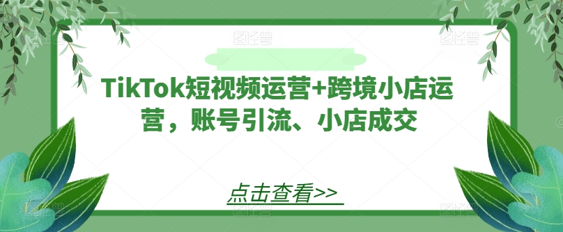 TikTok短视频运营+跨境小店运营，账号引流、小店成交-比钱轻创