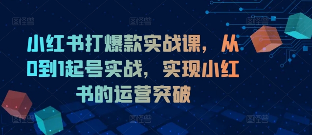 小红书打爆款实战课，从0到1起号实战，实现小红书的运营突破-比钱轻创