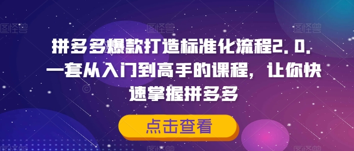 拼多多爆款打造标准化流程2.0，一套从入门到高手的课程，让你快速掌握拼多多-比钱轻创