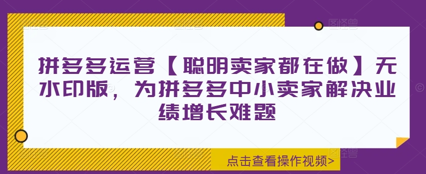拼多多运营【聪明卖家都在做】无水印版，为拼多多中小卖家解决业绩增长难题-比钱轻创