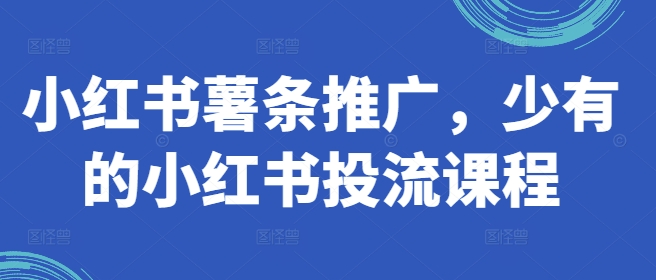 小红书薯条推广，少有的小红书投流课程-比钱轻创
