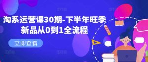 淘系运营课30期-下半年旺季新品从0到1全流程-比钱轻创