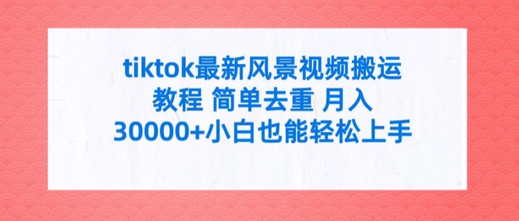 tiktok最新风景视频搬运教程 简单去重 月入3W+小白也能轻松上手【揭秘】-比钱轻创