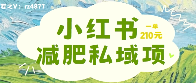 小红书减肥粉，私域变现项目，一单就达210元，小白也能轻松上手【揭秘】-比钱轻创
