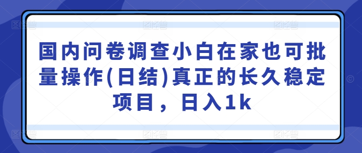 国内问卷调查小白在家也可批量操作(日结)真正的长久稳定项目，日入1k【揭秘】-比钱轻创