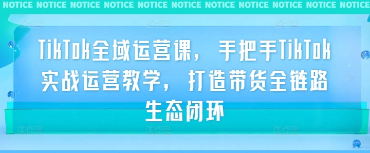 TikTok全域运营课，手把手TikTok实战运营教学，打造带货全链路生态闭环-比钱轻创