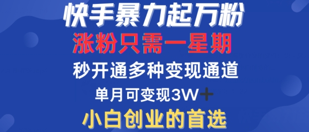快手暴力起万粉，涨粉只需一星期，多种变现模式，直接秒开万合，单月变现过W【揭秘】-比钱轻创