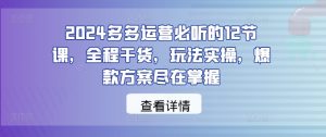 2024多多运营必听的12节课,全程干货,玩法实操,爆款方案尽在掌握-比钱轻创