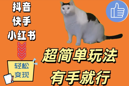 超简单玩法，有手就行，靠猫咪视频日入500+【揭秘】-比钱轻创